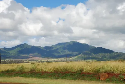 2007_05_30_HAWAII (2) (Large).JPG